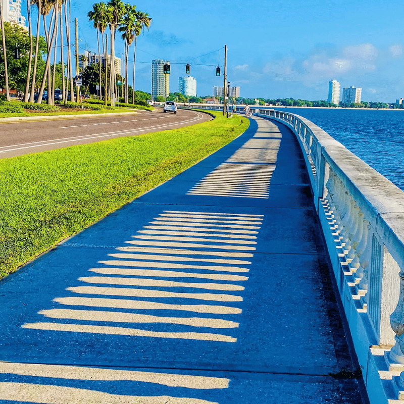 Bicycle accident attorney tampa Bicycle accident attorney tampa